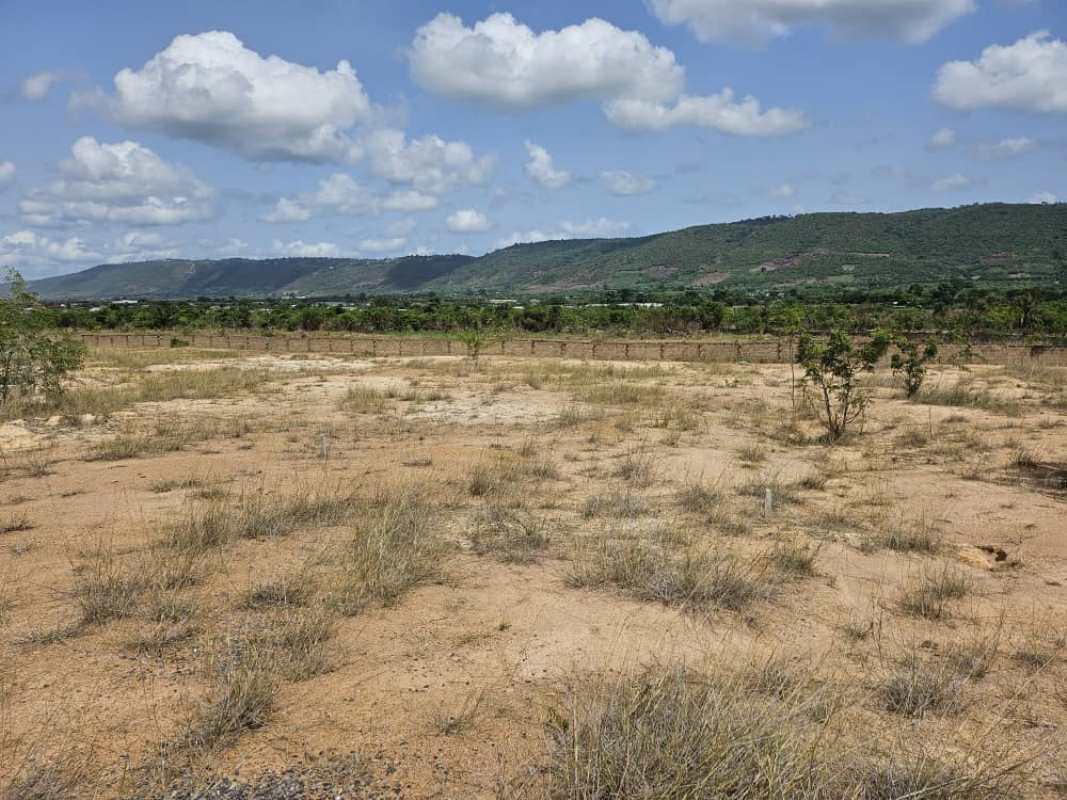 Ayikuma Serviced Lands — Dodowa
